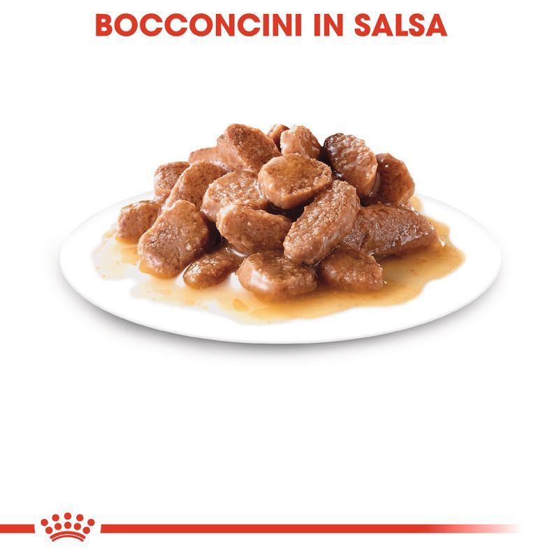 Royal Canin Sterilised in Salsa - 12x85gr Royal Canin Sterilised in Salsa - 12x85gr